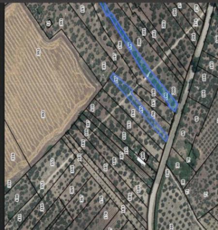 terreno edificabile in vendita a Venosa