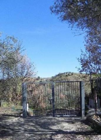 terreno agricolo in vendita a Venosa