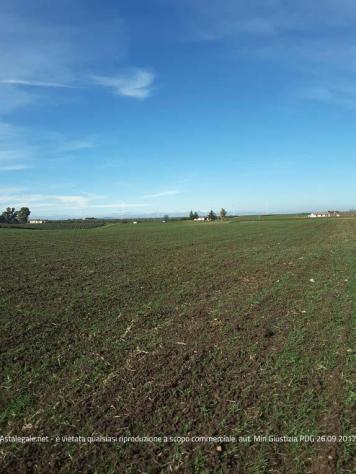 terreno edificabile in vendita a Venosa