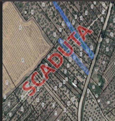 terreno edificabile in vendita a Venosa