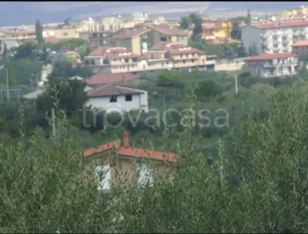 casa indipendente in vendita a Venosa
