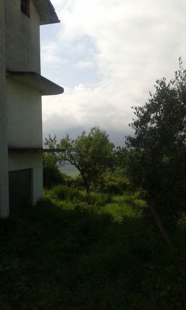 casale in vendita a Viggianello