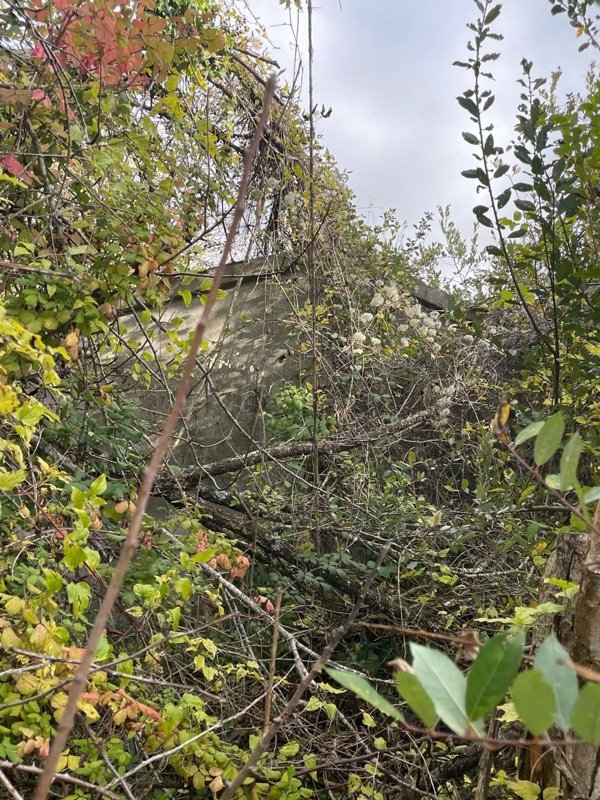 appartamento in vendita a Viggianello