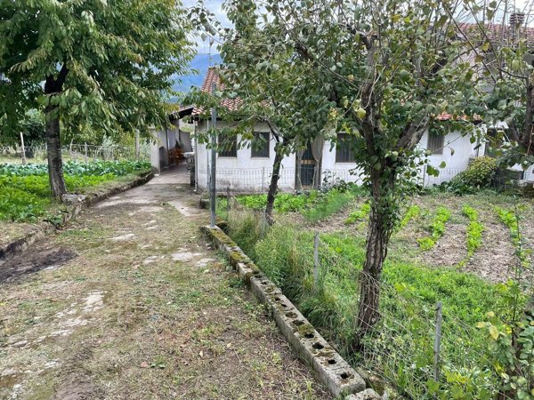 appartamento in vendita a Viggianello