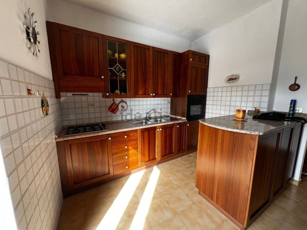 appartamento in vendita a Viggianello