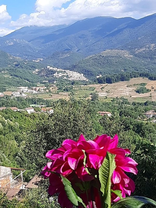 pentavano in vendita a Viggianello