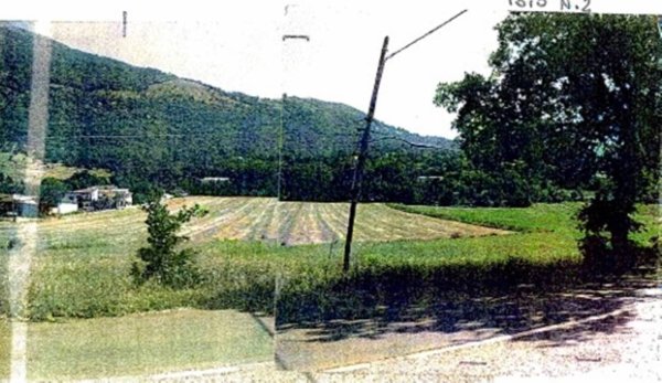 terreno agricolo in vendita a Viggiano