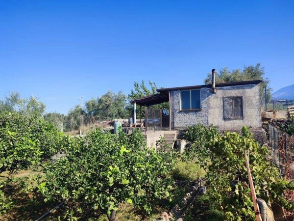 terreno agricolo in vendita a Paterno