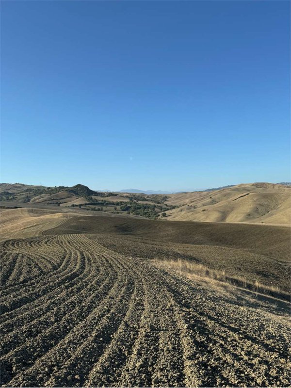 azienda agricola in vendita ad Aliano