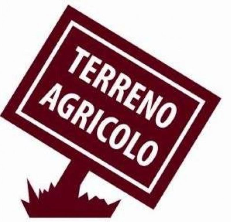 terreno agricolo in vendita a Bernalda