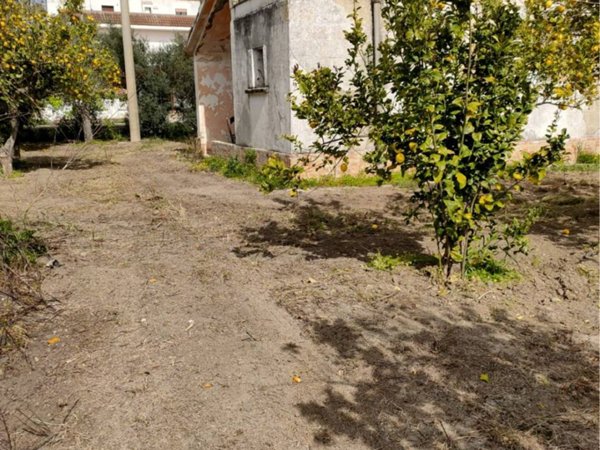 terreno agricolo in vendita a Bernalda
