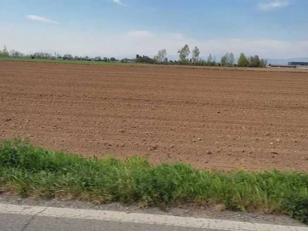 terreno agricolo in vendita a Bernalda