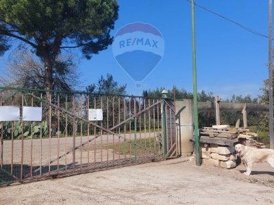 azienda agricola in vendita a Bernalda