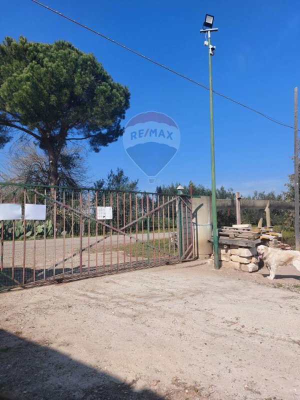 azienda agricola in vendita a Bernalda