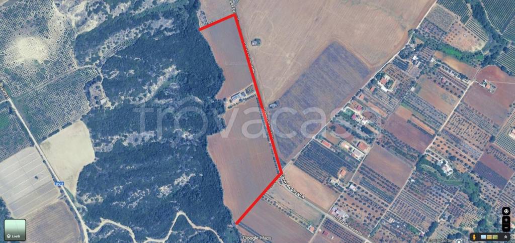 azienda agricola in vendita a Bernalda
