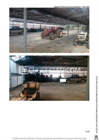 terreno agricolo in vendita a Bernalda