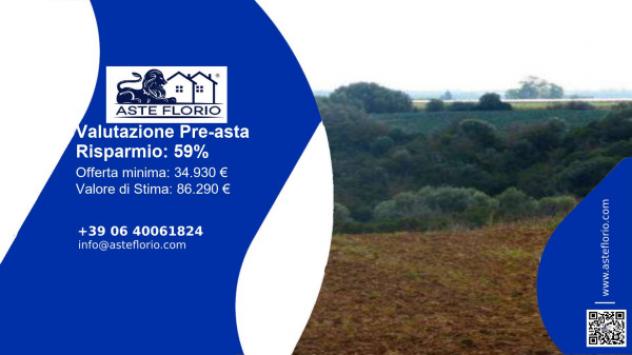 terreno agricolo in vendita a Bernalda