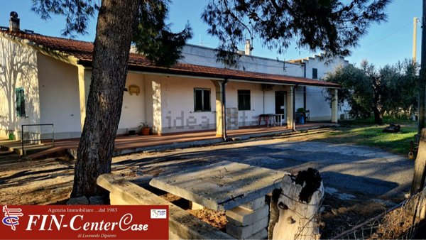 azienda agricola in vendita a Bernalda in zona Spineto