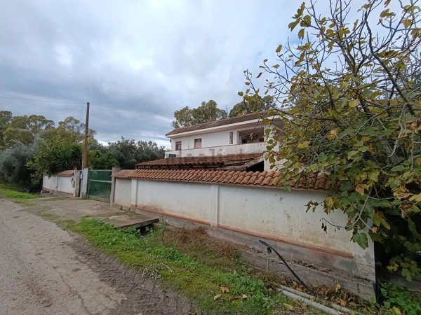 terreno agricolo in vendita a Bernalda in zona Metaponto