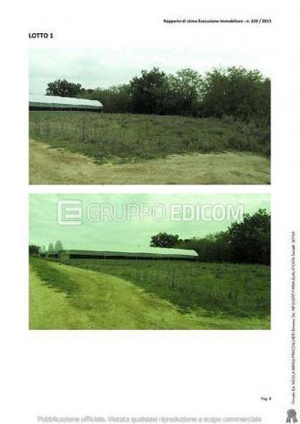 terreno agricolo in vendita a Bernalda