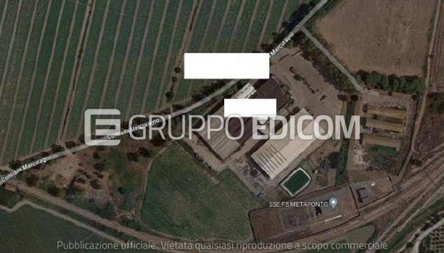 negozio in vendita a Bernalda