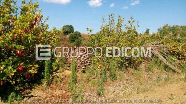 locale commerciale in vendita a Bernalda