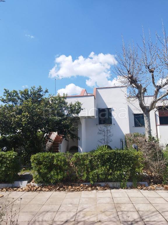 casa indipendente in vendita a Bernalda in zona Metaponto