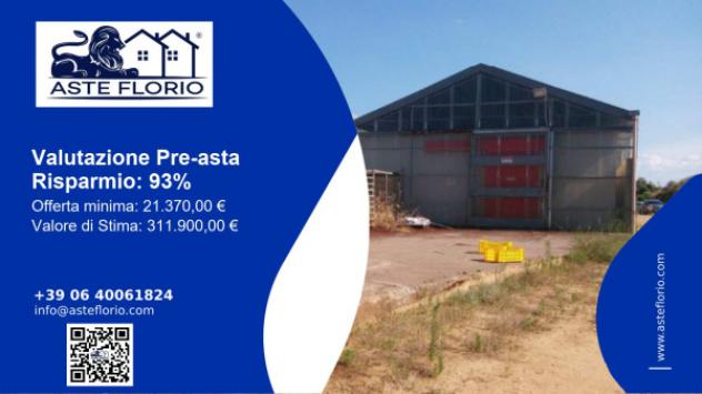 pentavano in vendita a Bernalda