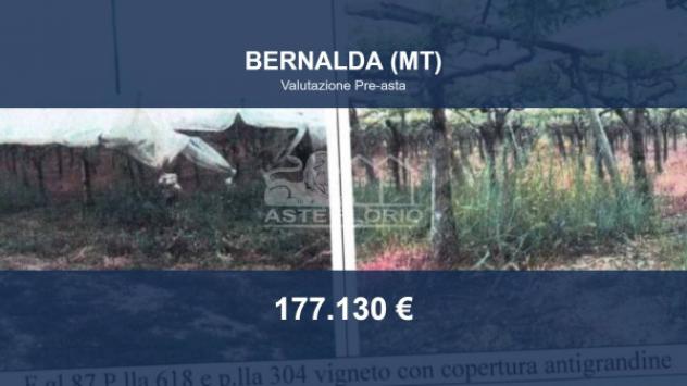 casale in vendita a Bernalda in zona Metaponto
