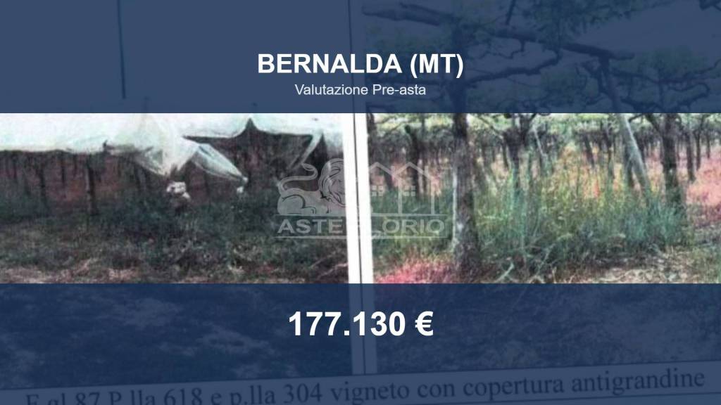 terreno agricolo in vendita a Bernalda