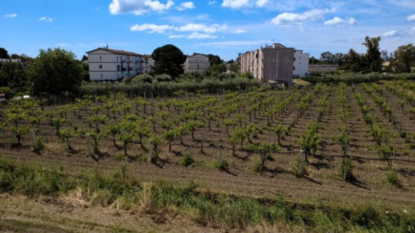 terreno agricolo in vendita a Bernalda in zona Metaponto