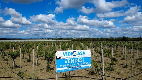 terreno agricolo in vendita a Bernalda in zona Metaponto
