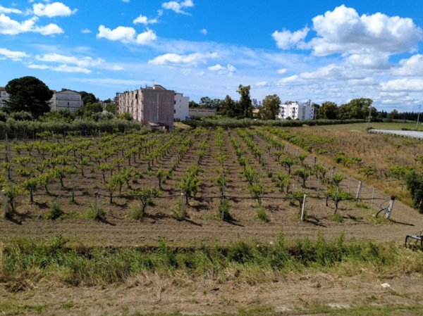 terreno agricolo in vendita a Bernalda in zona Metaponto