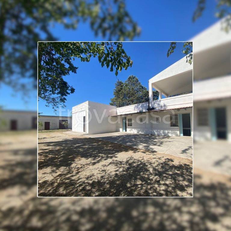 casa indipendente in vendita a Bernalda in zona Metaponto