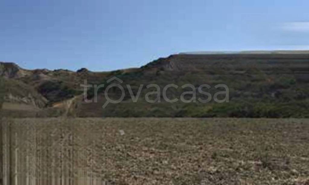terreno agricolo in vendita a Ferrandina