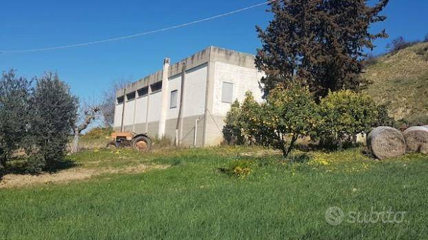 terreno agricolo in vendita a Ferrandina