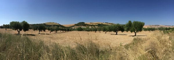 casa indipendente in vendita a Ferrandina