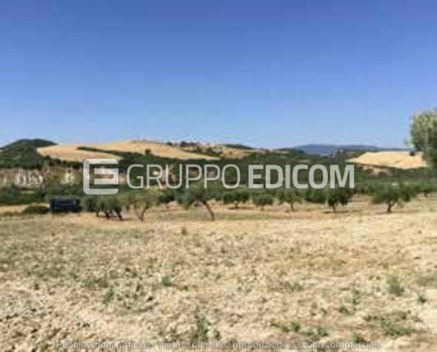 casale in vendita a Ferrandina