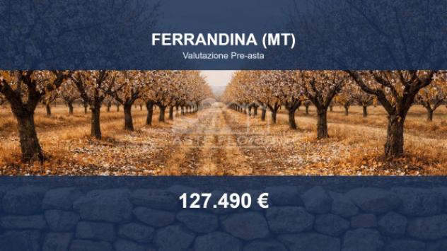 casale in vendita a Ferrandina