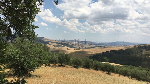 appartamento in vendita a Grassano