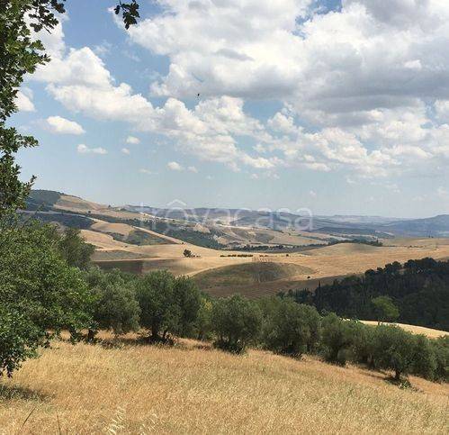 appartamento in vendita a Grassano