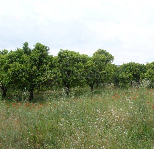 appartamento in vendita a Grassano