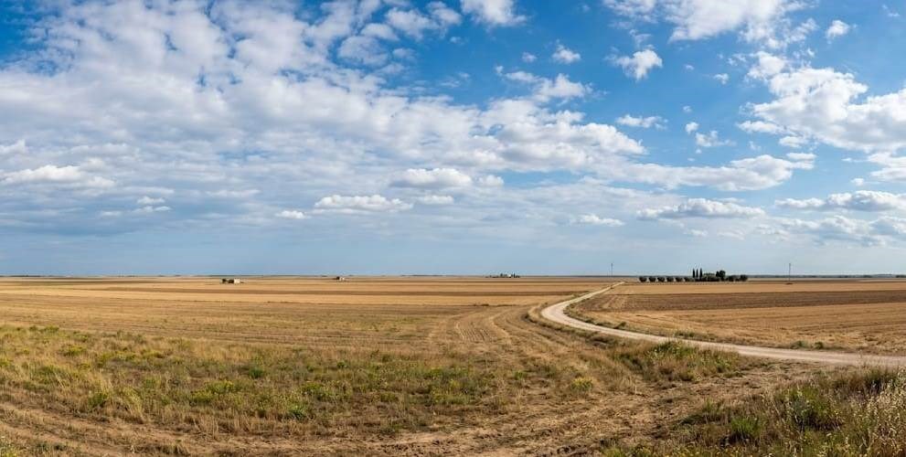 terreno agricolo in vendita a Grassano