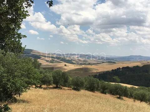 appartamento in vendita a Grassano