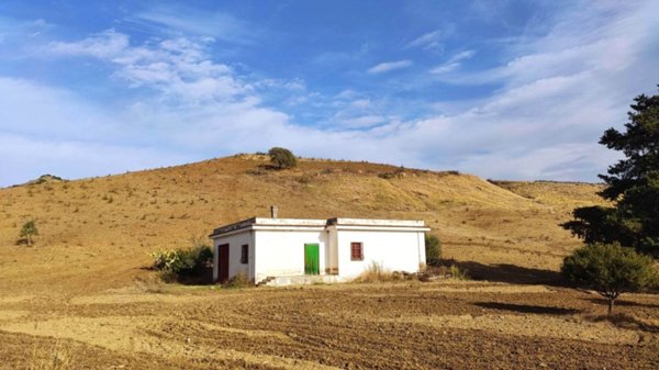 terreno agricolo in vendita a Grottole