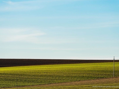 azienda agricola in vendita ad Irsina
