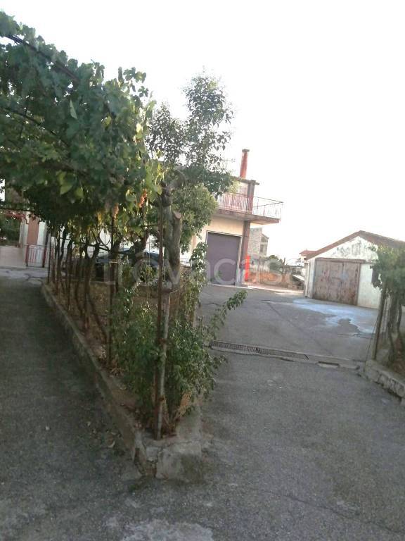 immagine annuncio 0 di 15