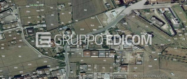 terreno agricolo in vendita ad Irsina