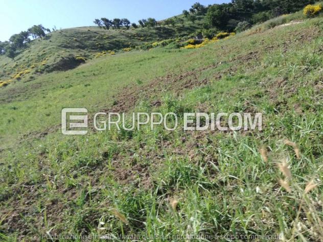 terreno agricolo in vendita ad Irsina