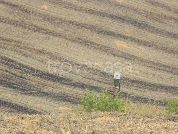 terreno agricolo in vendita a Matera